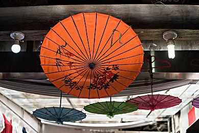 《怪物猎人崛起：曙光》“城塞高地”原野导览 刚缠兽实机演示